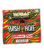 NoShit Hash Hole 2G 20CT Watermelon Dream